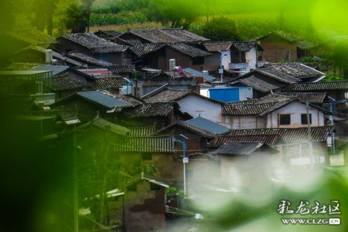 阿布洛哈,不可能被遗忘