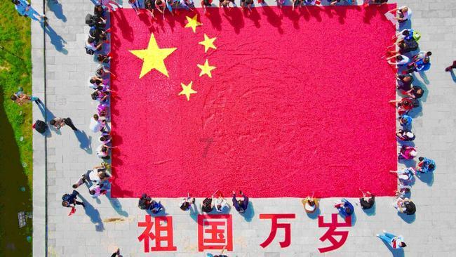 小恐龙来找茬